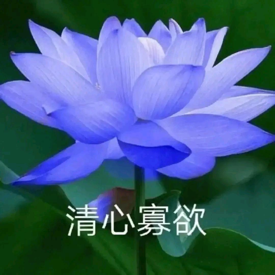 困不着
