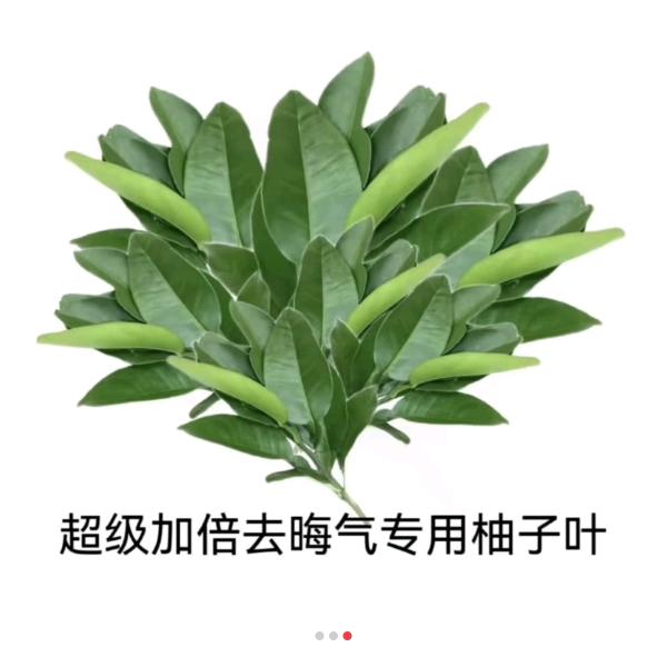 初代纯爱战神