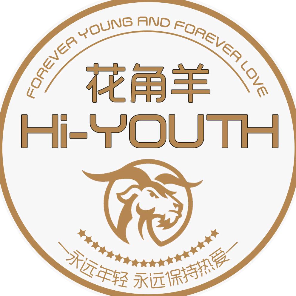 花角羊行车记录仪