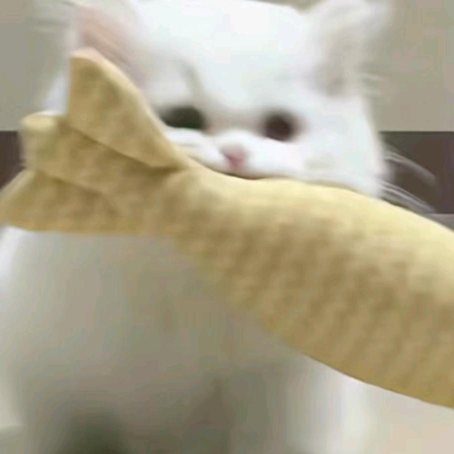 亓芹是星