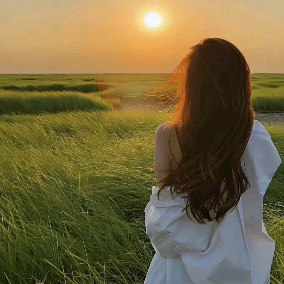 不落的太阳吖的头像