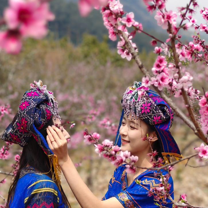 宏图