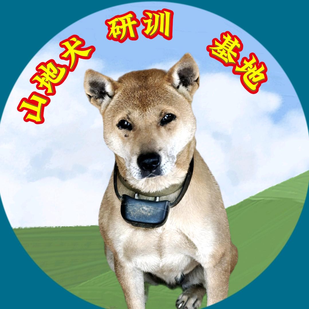 山地犬研训基地