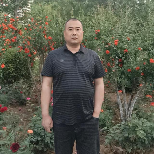 苗手芊芊