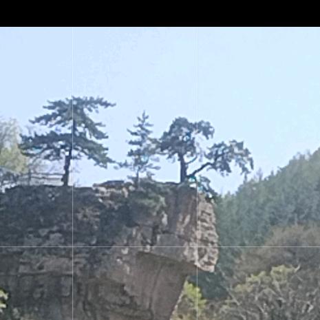 十五 的月亮白龙村