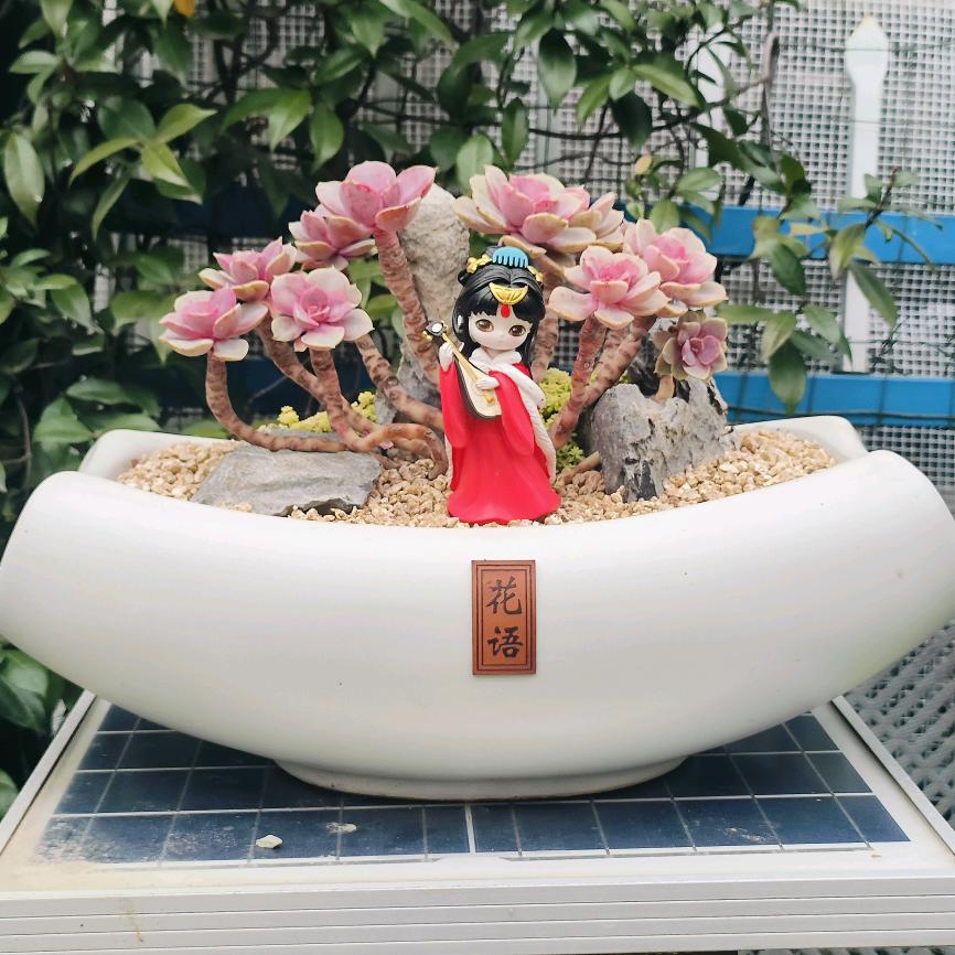 皮皮鱼麻麻吖🇨🇳