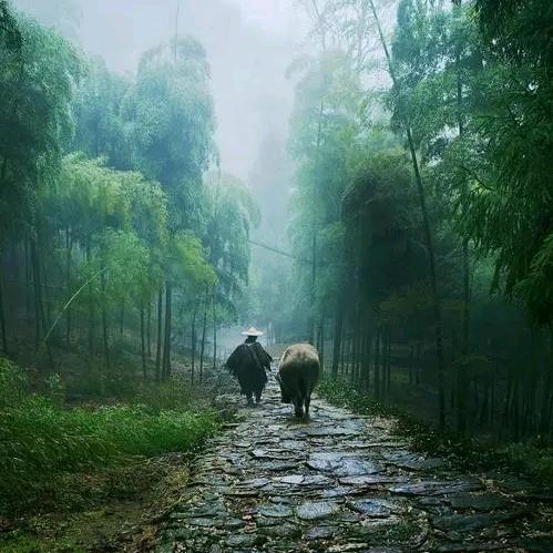 这一路