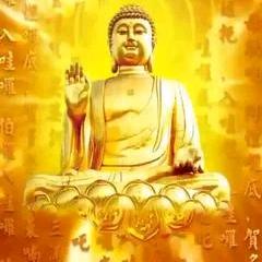 🐕萝卜头