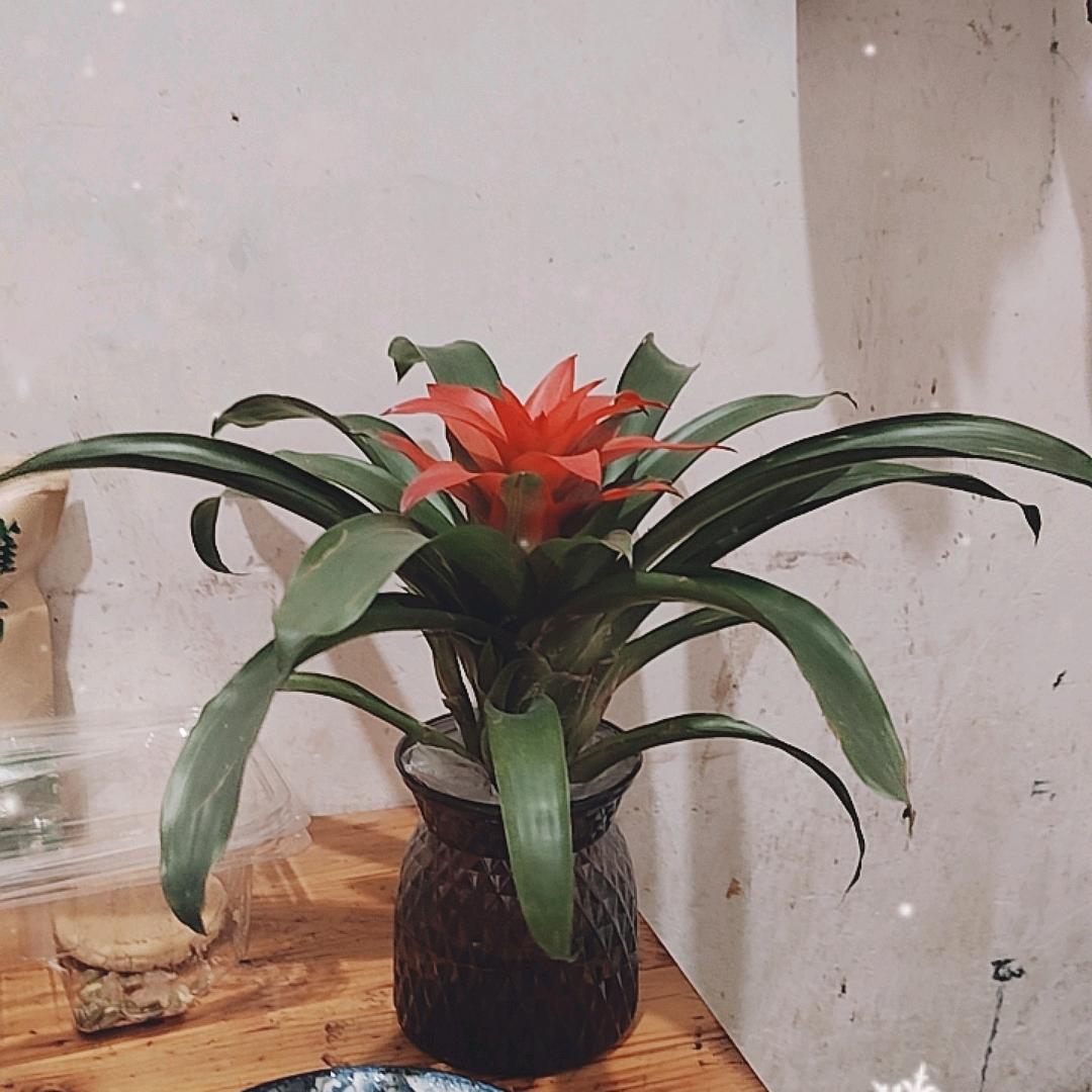陈小方