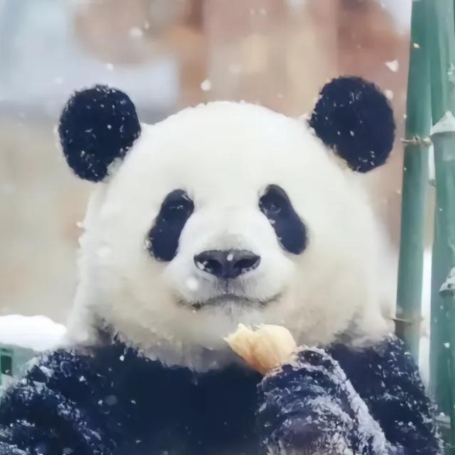 有风好物