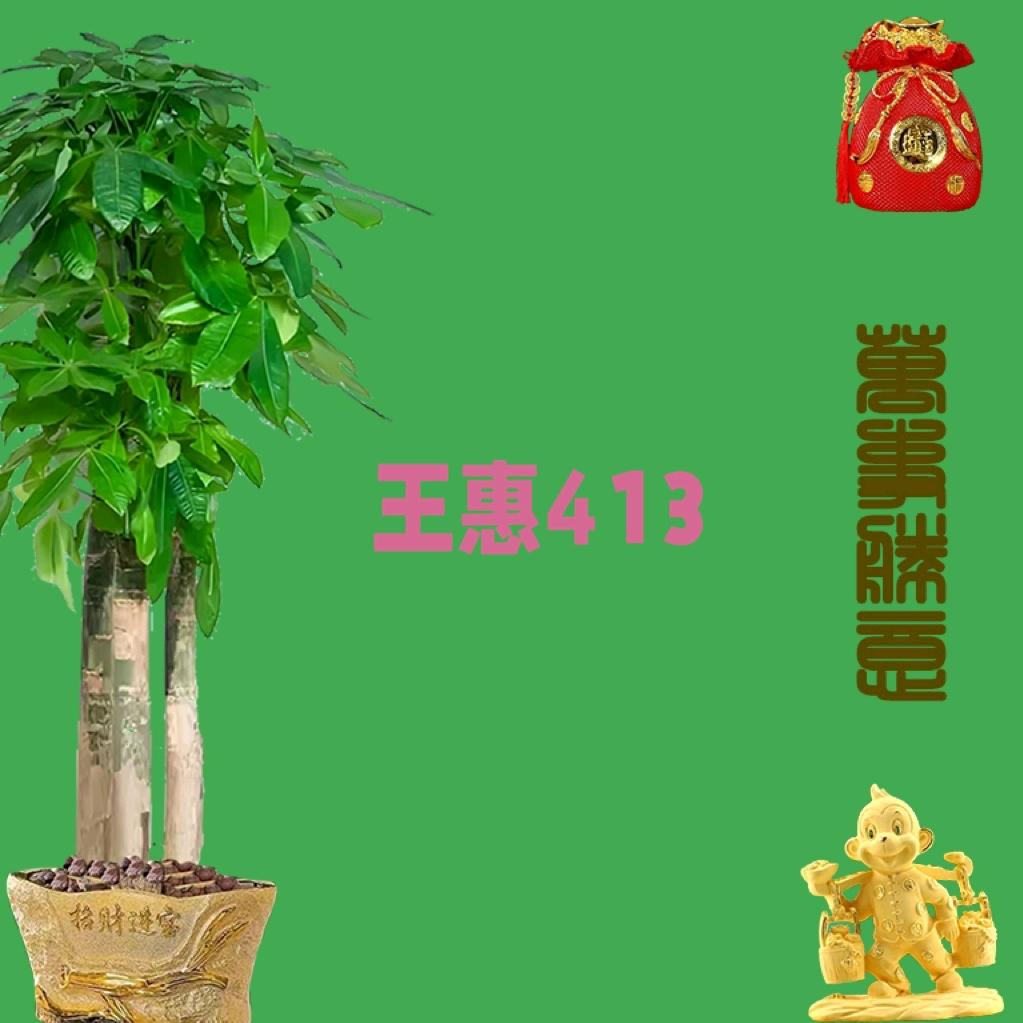 王惠413