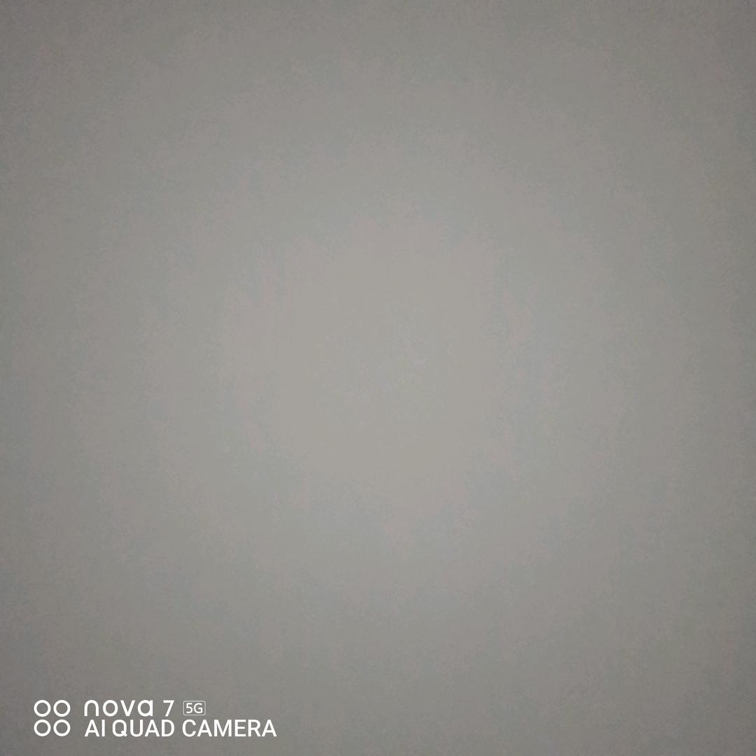 浪仔