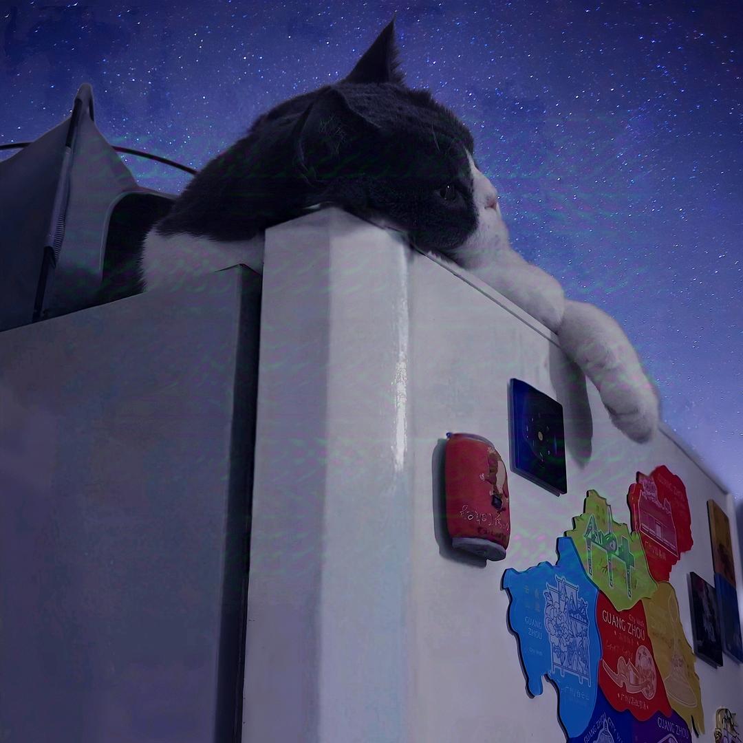 三猫（狼人杀）