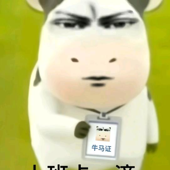 夏桉禾头像