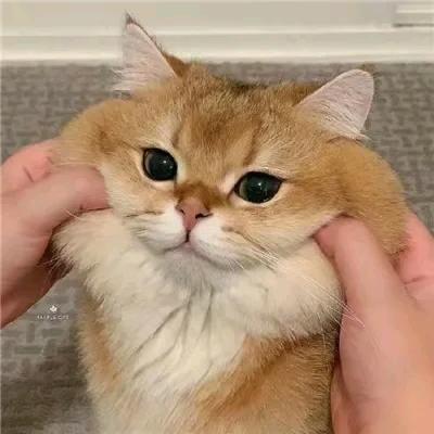 寒昇