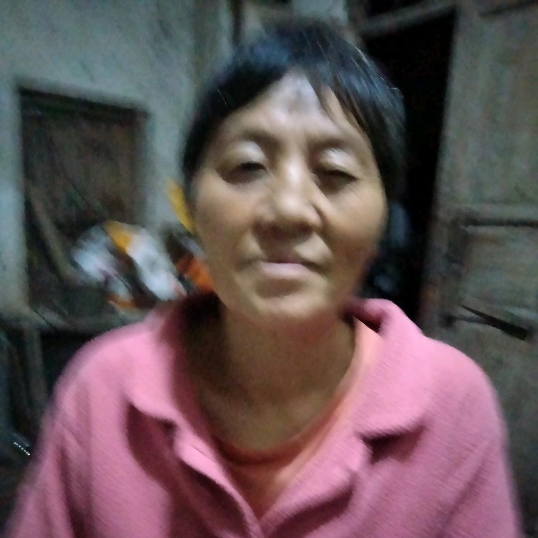 琴琴特效