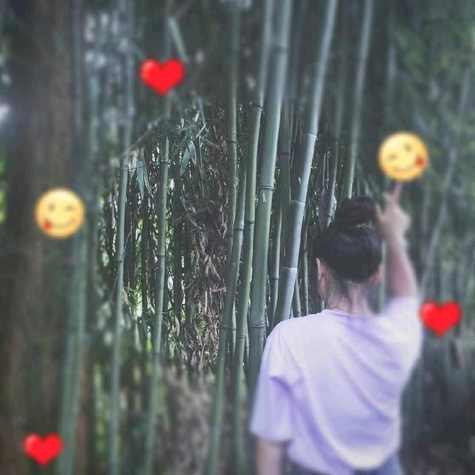 💞晴晴💞