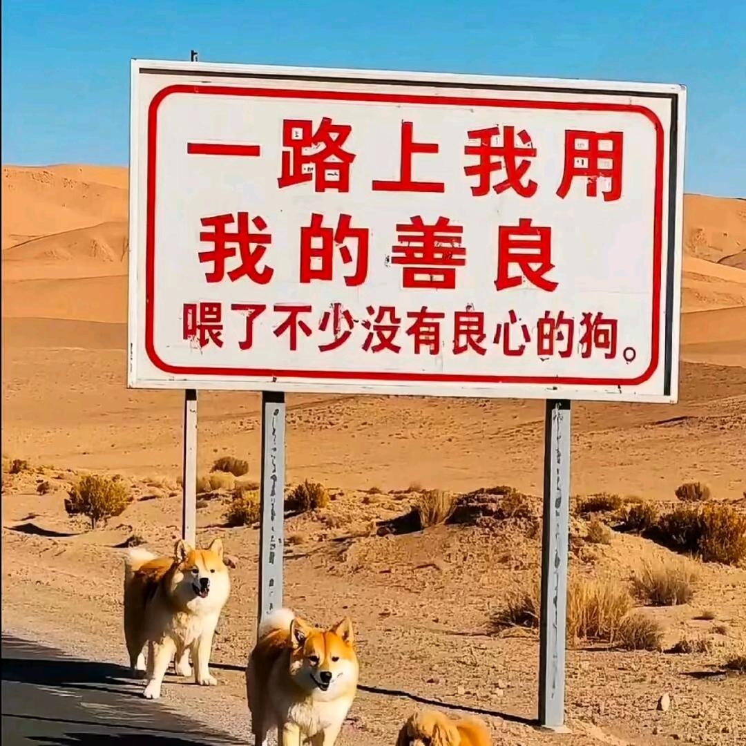 我命由我不由天