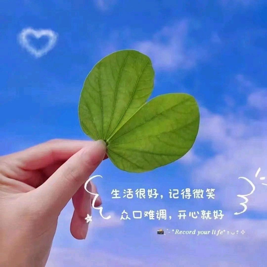 平安阳光