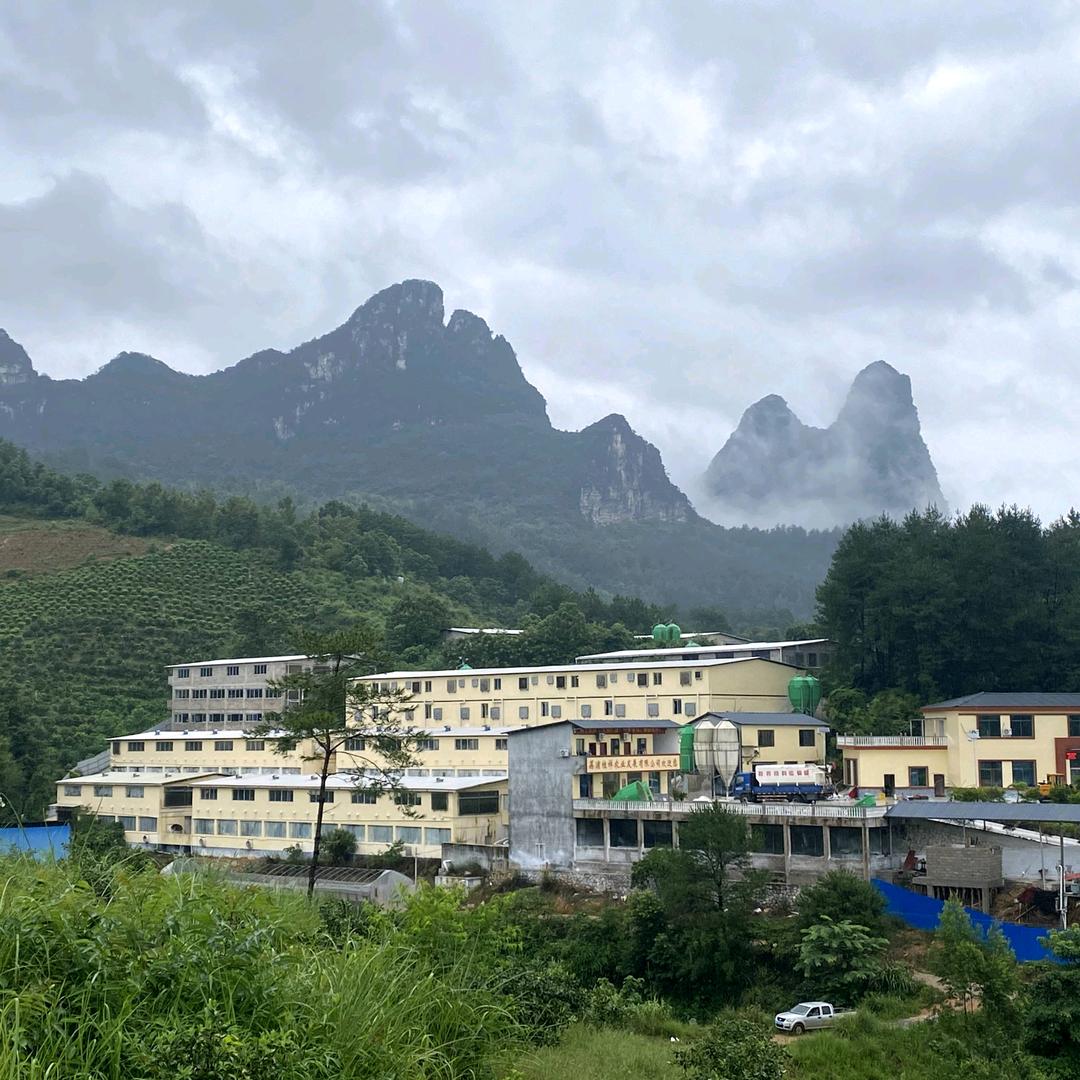 荔浦桂祥农业发展有限公司