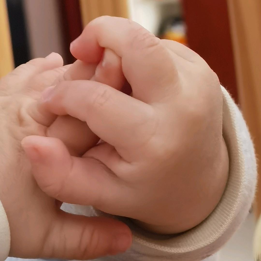 石一与安君