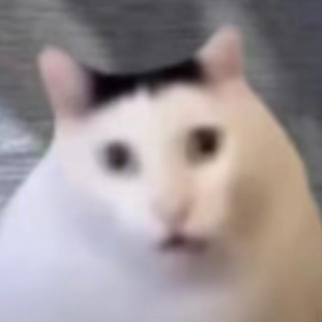 恢詭譎怪之事妹有目