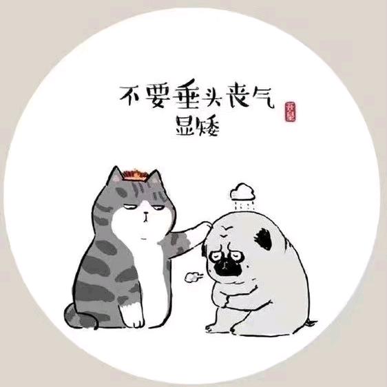 中级注会备考
