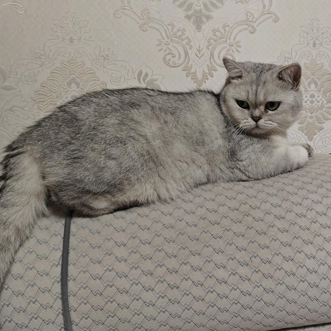 用户5884787668704
