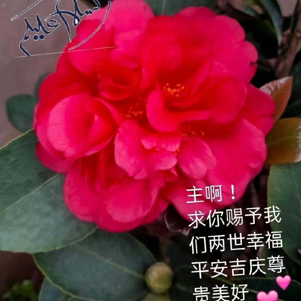 信仰坚定
