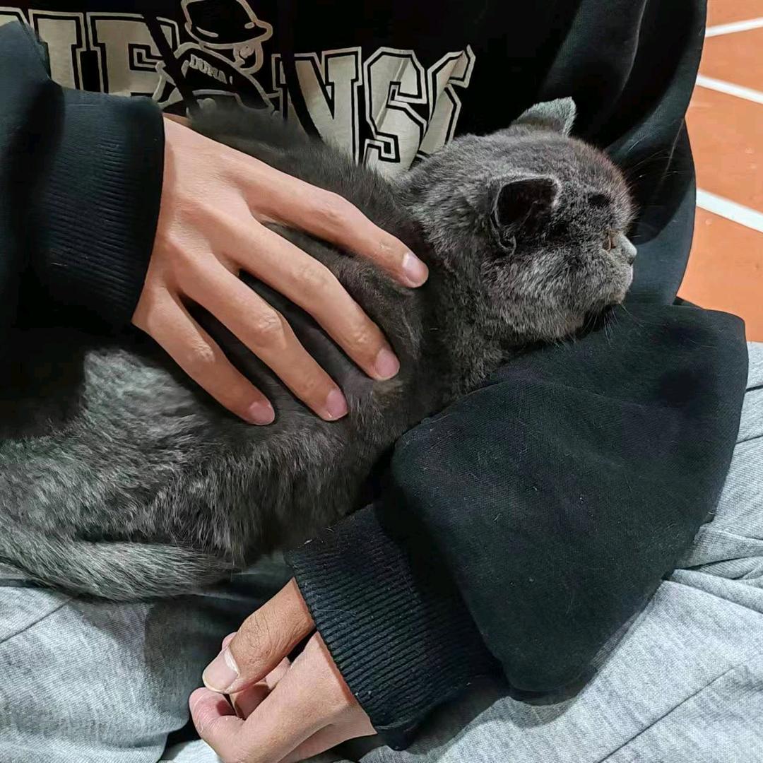离大谱的小杰