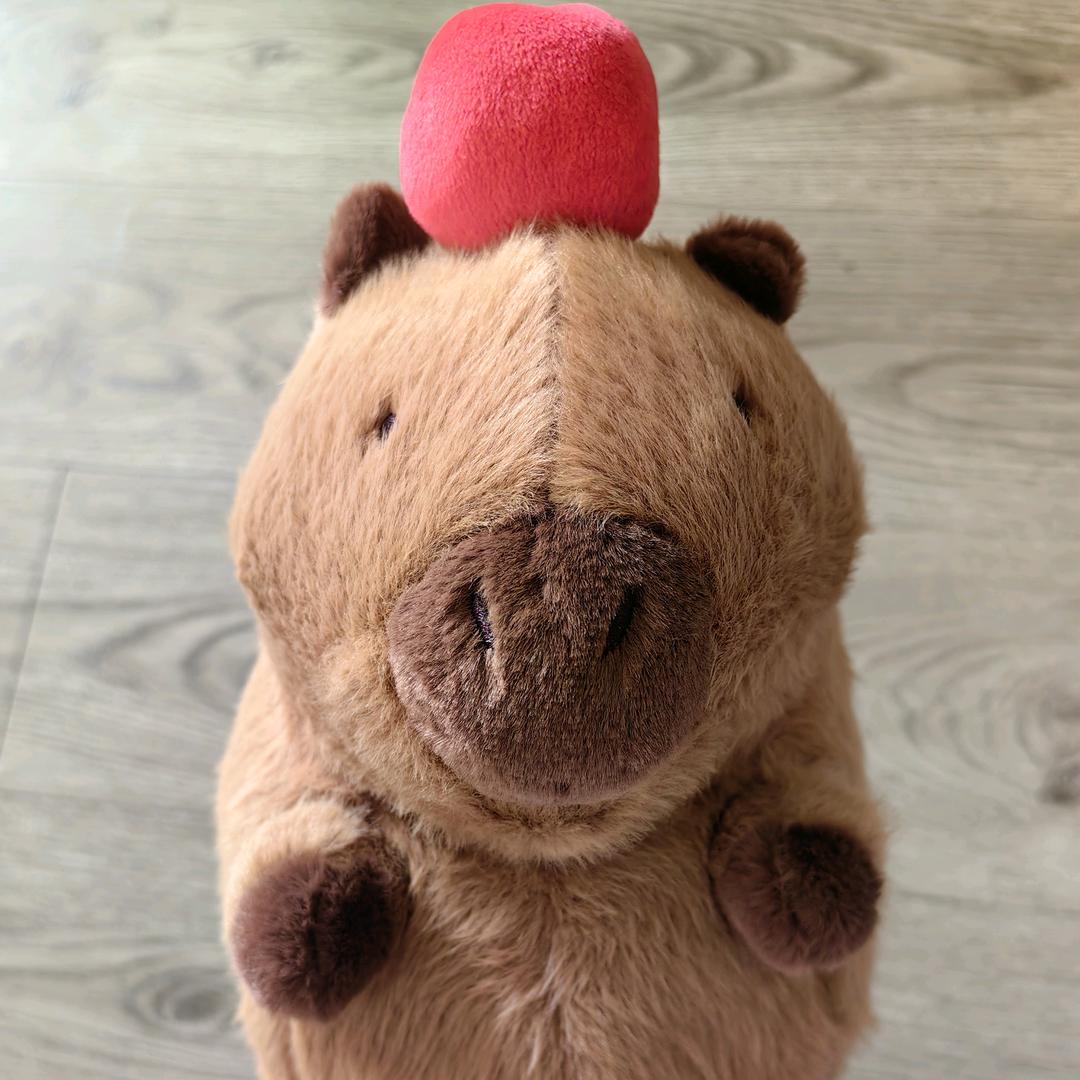 🌈抓娃娃的猪🐷