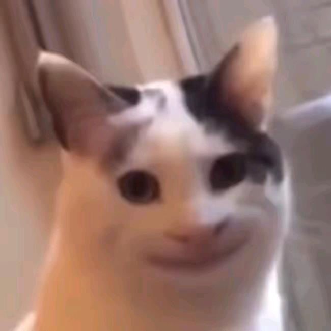 一只小翼