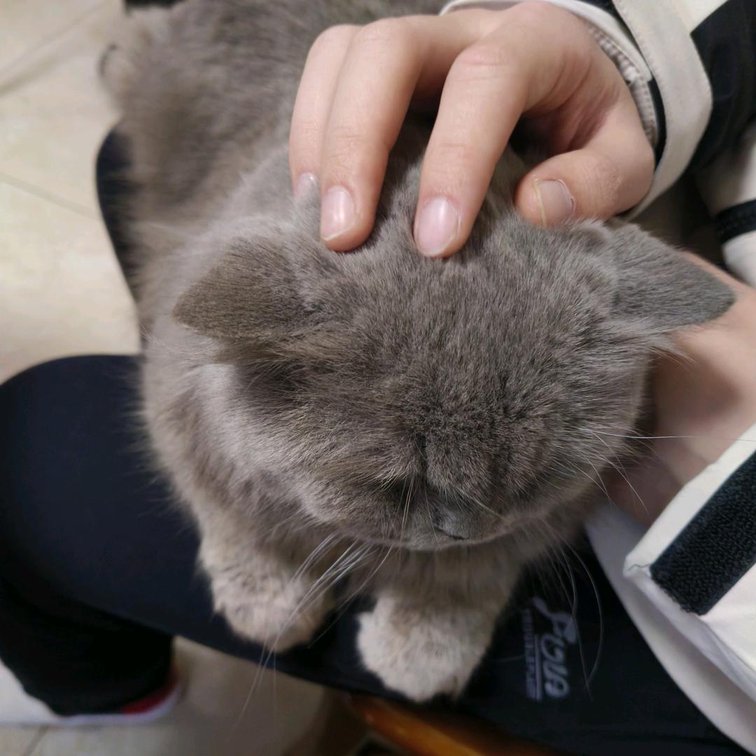 一点点奶绿装忙