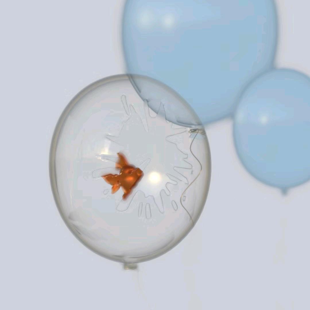 你的葬礼怎么没请我