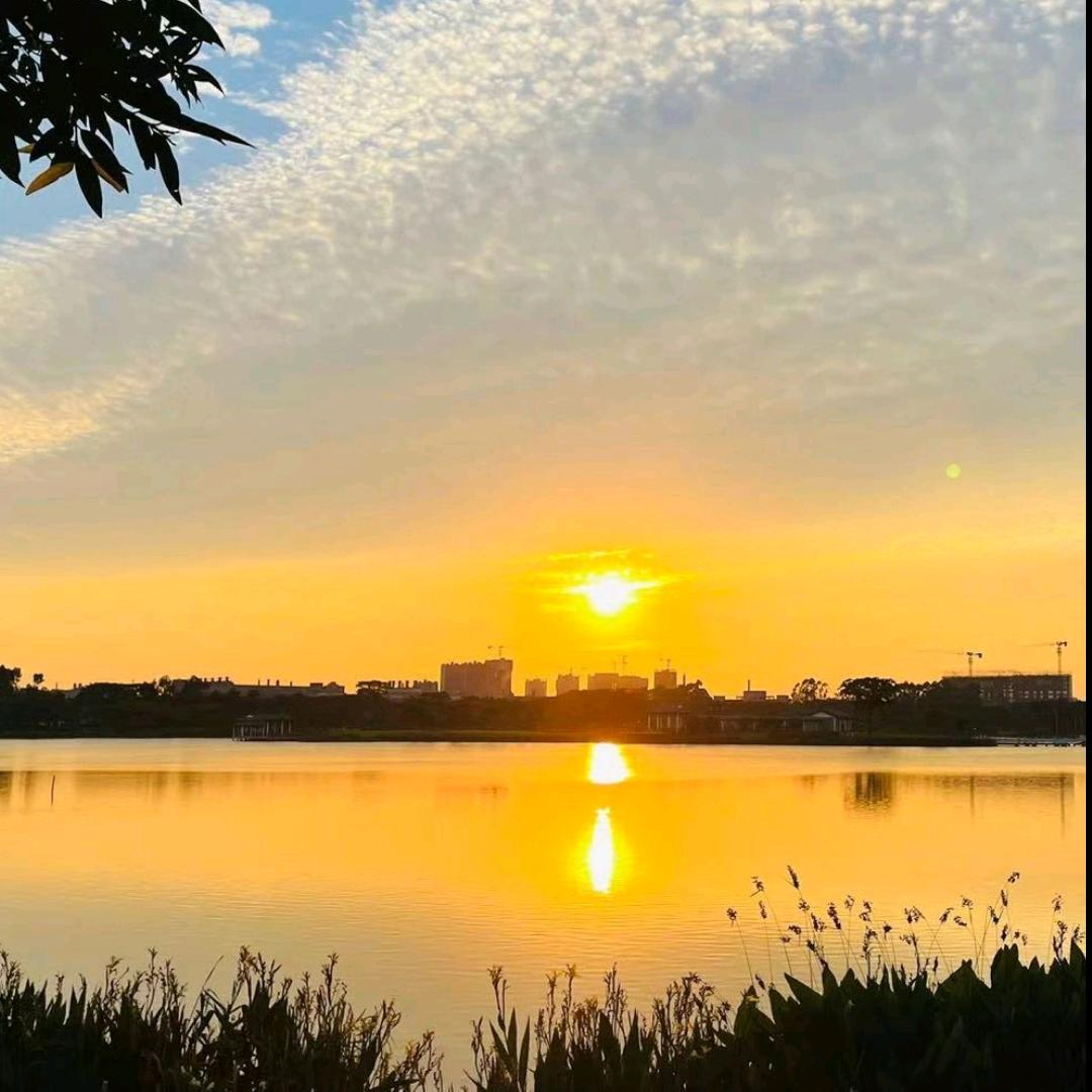 君悦优选