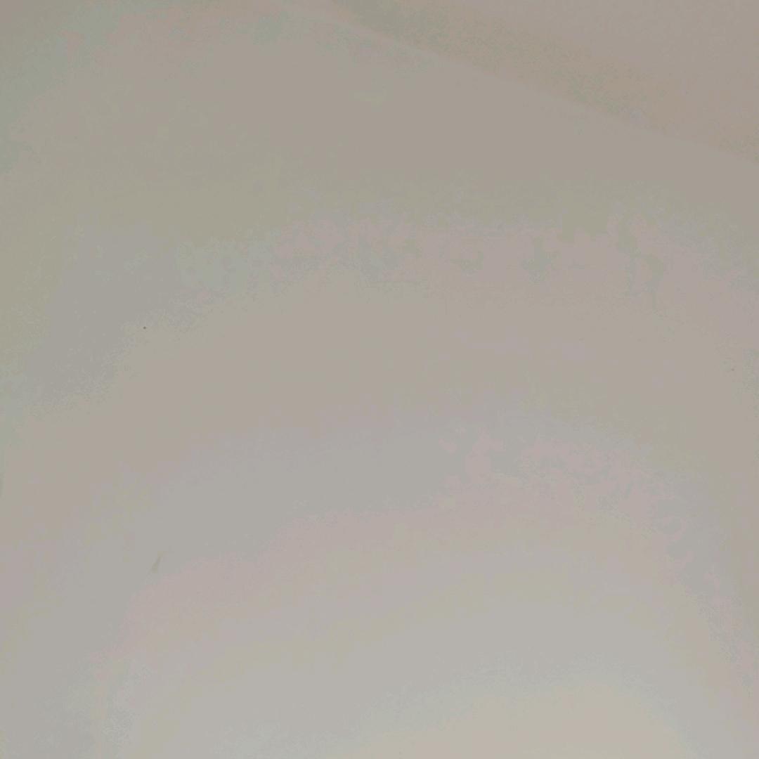 大方