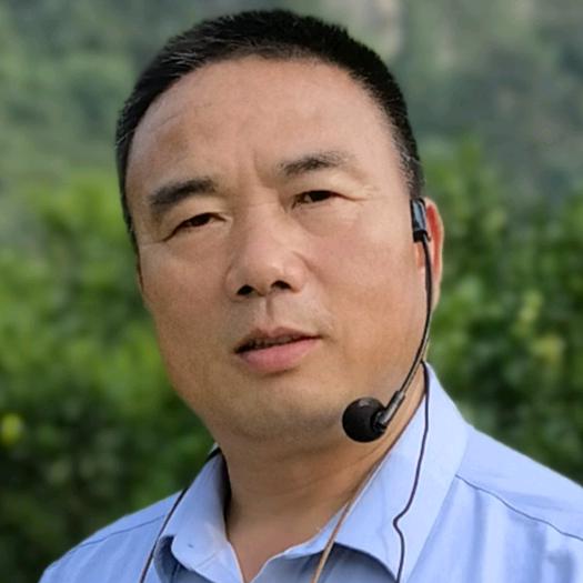 钟善东钟式栽培