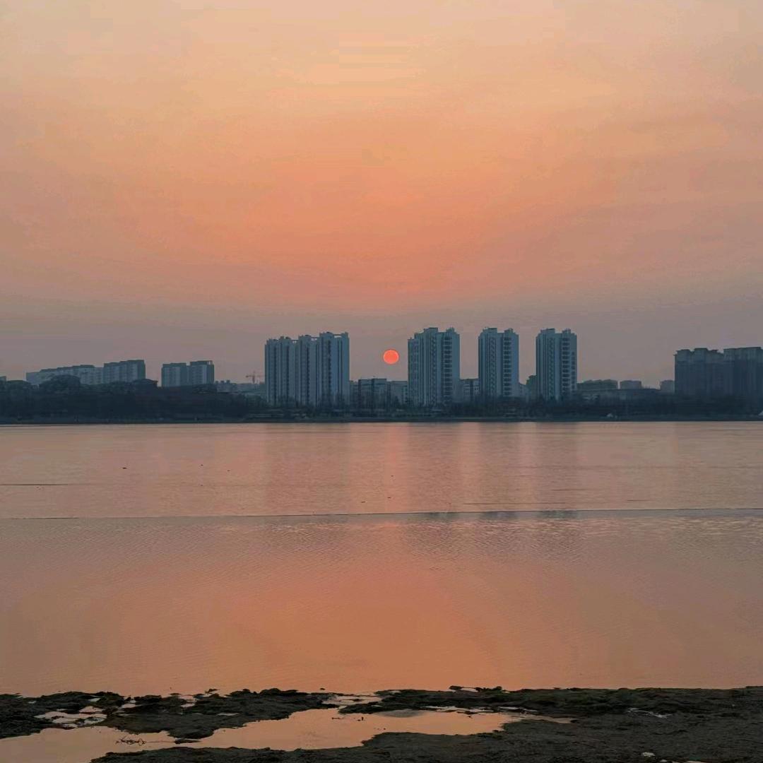 星星收徒🌸🌸