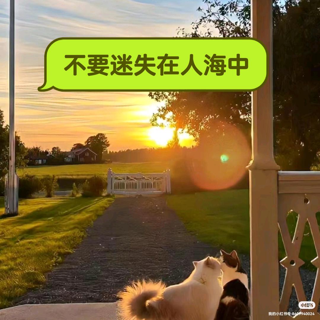 胡淑梅爱分享