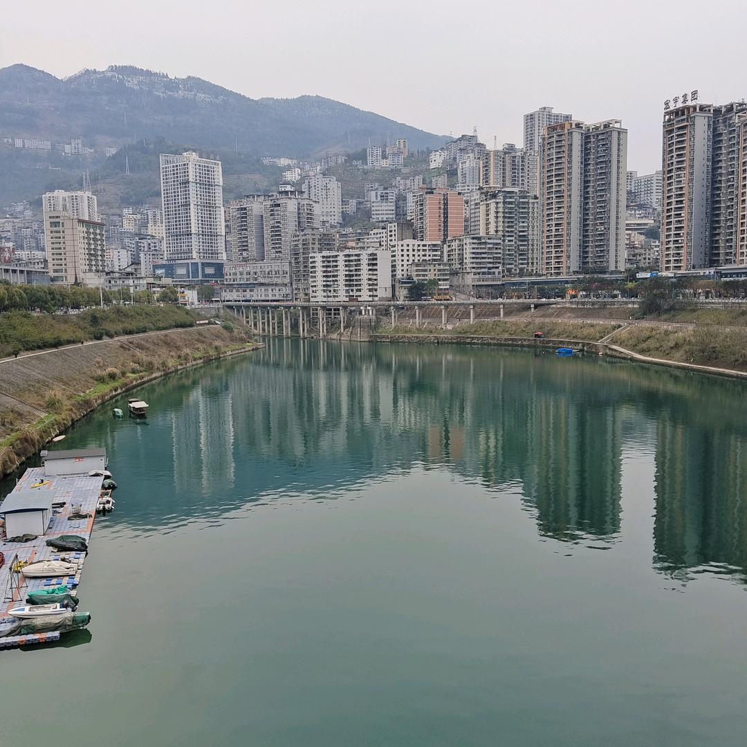 沙漠雄鹰