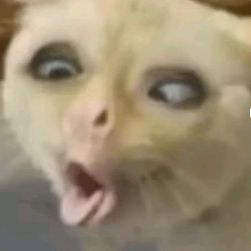 老肆