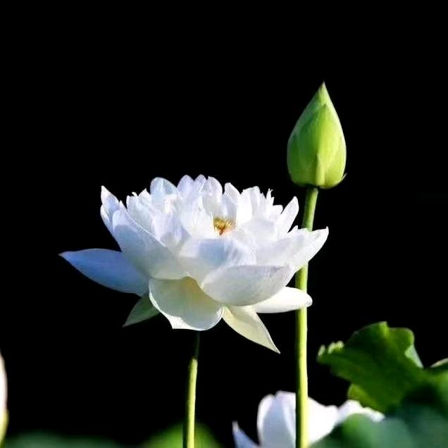 衡元堂