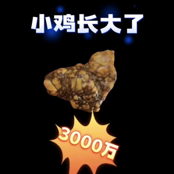 百世堂