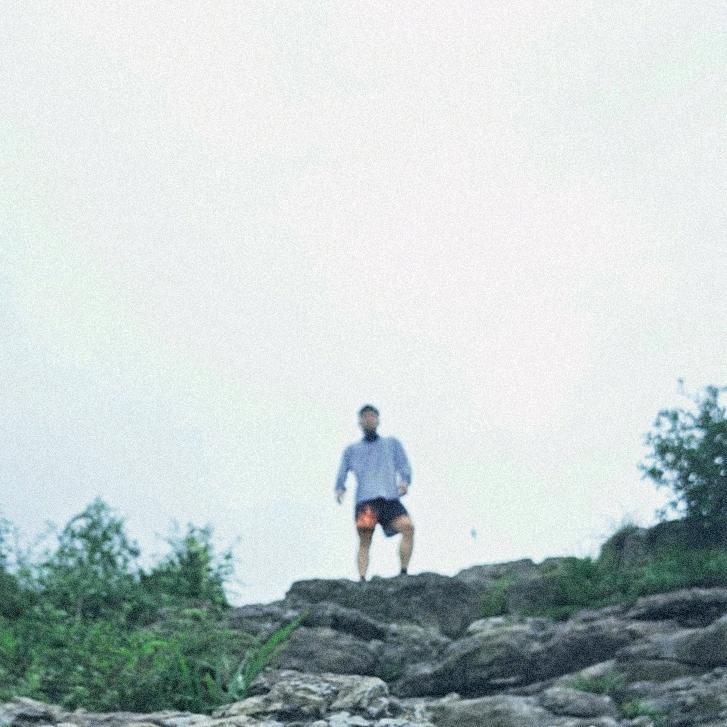 野草