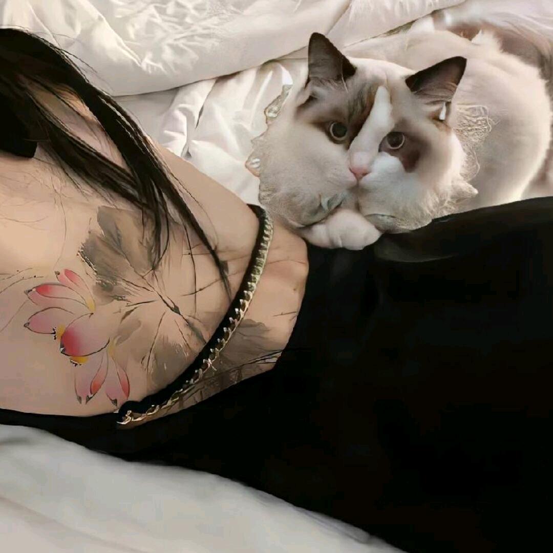 杨 杨