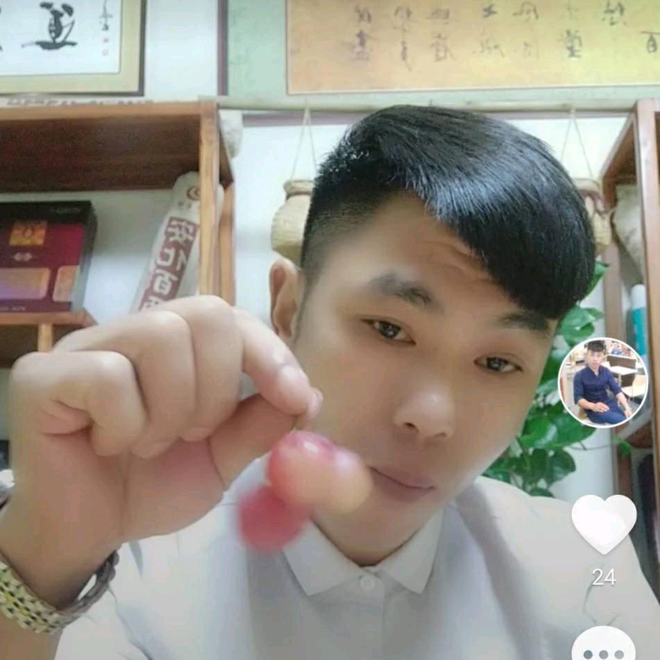 a花木根艺