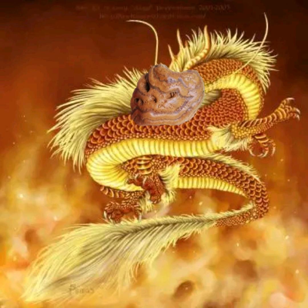 感受