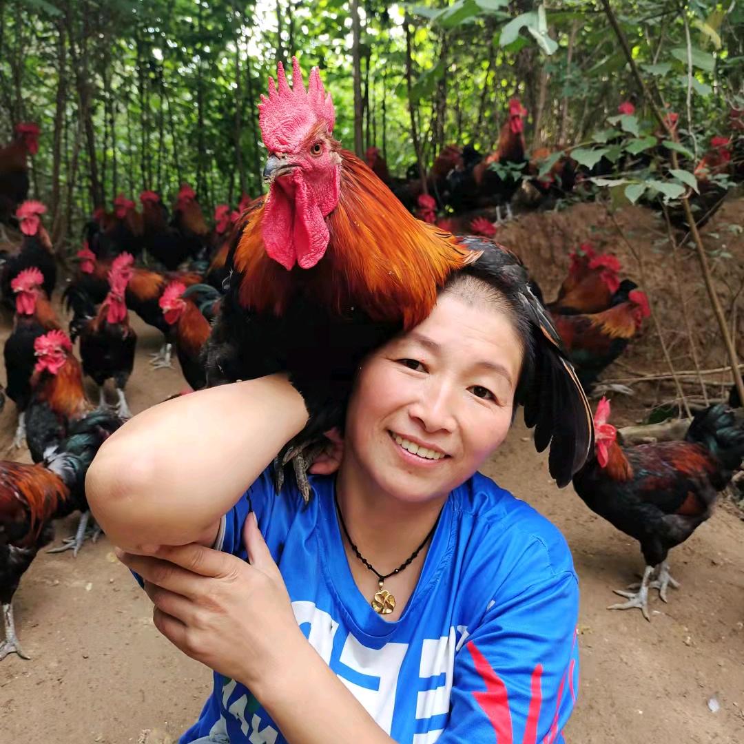 芳姐卖鸡