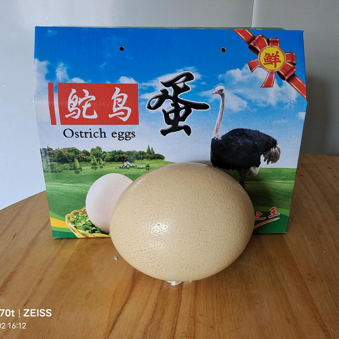 博野县春辉家庭农场（诚招合作主播）