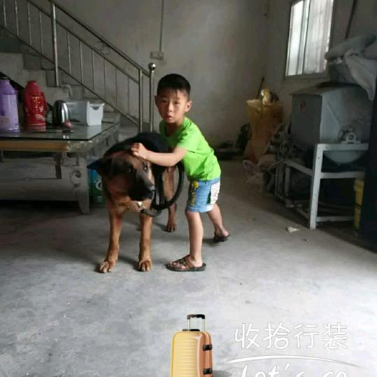 小邓
